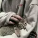 wzk11的头像-投影工坊
