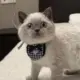 pwlxnjwknz