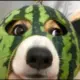 caobao