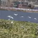 zmy7872003的头像-大幕网