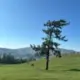 结尾