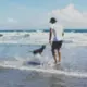 张仕宜
