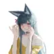 Catsayer的头像-天机阁