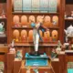 TTT@ttt的头像-投影工坊