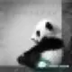 sanxian0613的头像-投影工坊