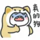 Tsansier的头像-投影工坊