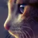 Luo