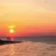 拿起R1当板砖