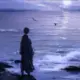 haojiuwa的头像-投影工坊