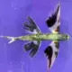 Mr.Zhang