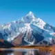 雪山 的头像