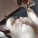 wwssttggrr