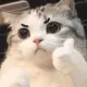 a1112333444