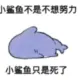 1234567890.a的头像-天机阁