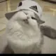 理在直中求的头像-天机阁