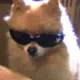 宇