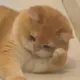 匿名5