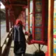 网友昵称：兼卍馳
