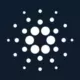 kelvin_zhao