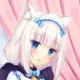 柏园猫