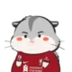杜泽先生