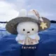 qiufeng的头像-投影工坊