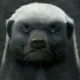 676558206