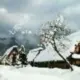 Montomiker的头像-投影工坊
