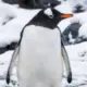 123