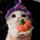 lzlp