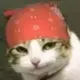 头像-方舟游戏