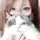 Shiki0217的头像-投影工坊