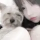 sad666的头像-投影工坊