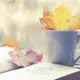 行者小猪