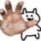 表锅