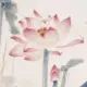 哈哈