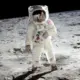 松露之家 的头像