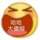 tx990的头像-投影工坊