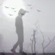 寒枫