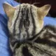 有意无意