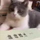 jiliji