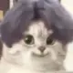 66666l的头像-天机阁