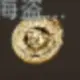 sakura.ying 的头像