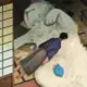 255160ad的头像-投影工坊
