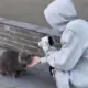 李嘉逸