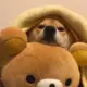 ss