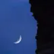 作者dessed的头像
