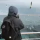 gangdao的头像-投影工坊