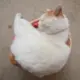 乱弹琴