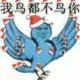 dgszfsfrr的头像-投影工坊